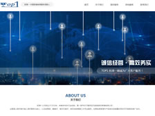 重慶拓璞科技有限公司  正式上線(xiàn)